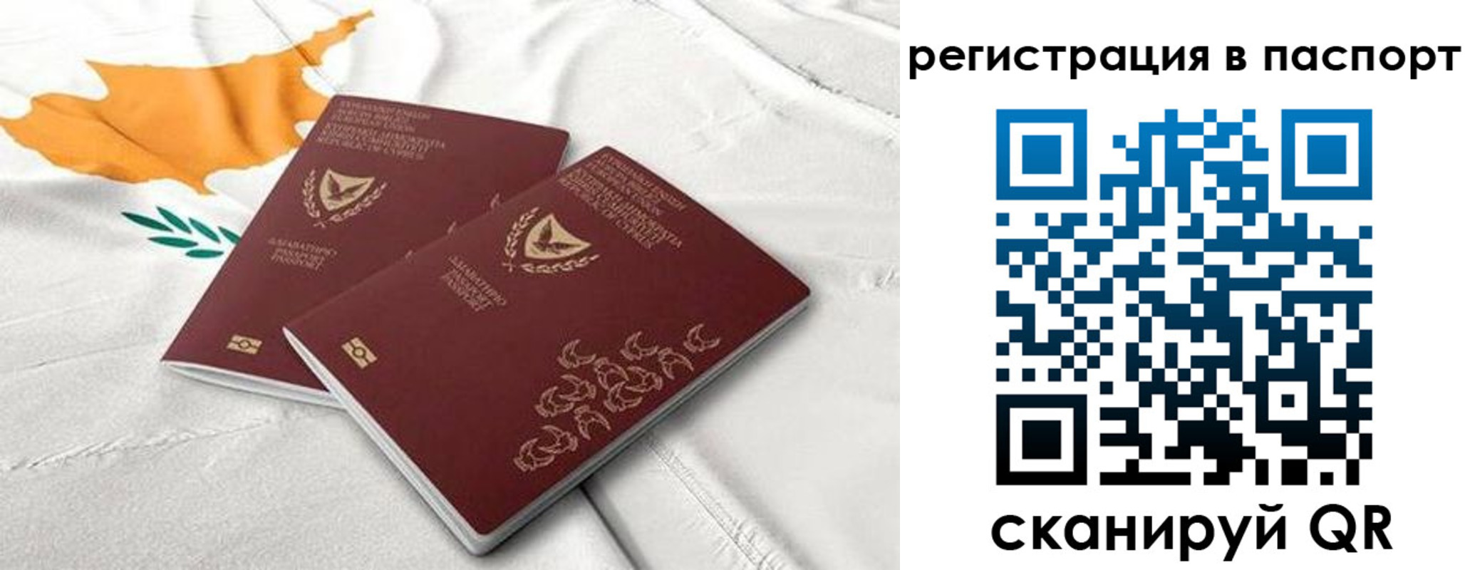 прописка штамп в Ртищево